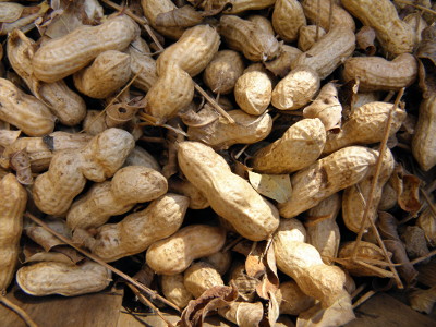 La Mesilla Red Peanut - Click Image to Close